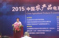 2015年中国农产品电商发展论坛在京举行