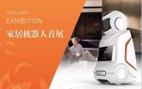 2015家装世博会空降长沙！