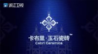 卡布里·玉石瓷砖——首家登陆五大卫视的行业品牌