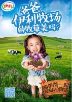 伊利开放新西兰天然牧场 让孩子发现自然的美