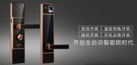 罗曼斯DD1京东众筹首发——引爆科技众筹热潮