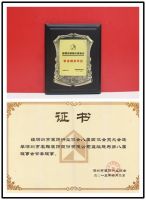 名雕金钻工程品质  蝉联十二届 “金鹏奖”桂冠