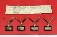 名雕金钻工程品质  蝉联十二届 “金鹏奖”桂冠
