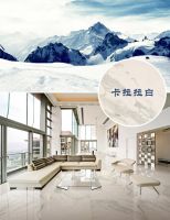 独具匠心,只为成就传奇——蒙娜丽莎瓷砖罗马宝石