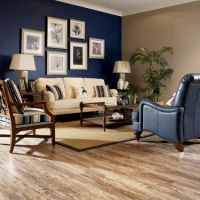 艾芙迪家居：让家安享在想象里