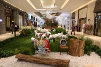 名家具展公众开放日或引发“抢购潮”