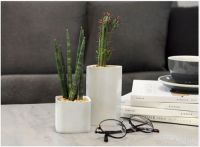 一组造型简洁的ECOEY混凝土大厦花器