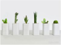 一组造型简洁的ECOEY混凝土大厦花器