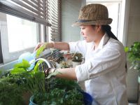 芒果说∣我的理想家