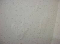 壁纸起泡怎么破？一招轻松解决