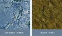 买瓷砖老被骗？资深砖家教你7招揪出劣质瓷砖