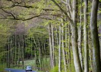 钛马迪国际家居：意式新贵，时尚本色