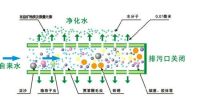 净水器原理、滤膜、滤料详解(从业、培训、购买必备知识