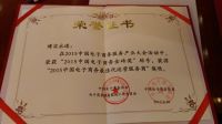 博实永道喜获2015年度电子商务服务商最高奖项
