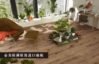 欧洲进口地板没您想的那么贵！