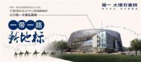 揭秘: 一带一路新地标  高标准工程选材背后