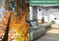 IBF全品：德国进口地板受国内消费者亲睐