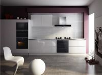 哗众取宠不如专心做好厨电 浅析帅康品牌经营之道