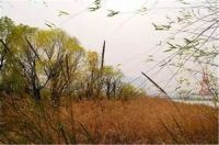 秋天，童话般的季节