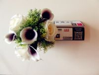 极有家与自如寓联合推出千元家饰礼券