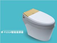 帝王洁具智能座便器 科技时代的智慧结晶