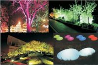 民众热议”世界灯都“的古镇灯光文化节