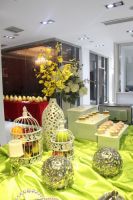 以爱之名 朗润装饰VI升级发布会