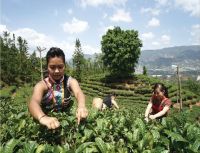 欧路莎签约亚洲最大高端度假酒店