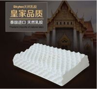 Skytex萨瓦泰乳胶枕风靡中国，盛大发布会即将召开