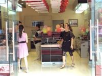 热烈祝贺森歌集成灶湖北胡集专卖店开业