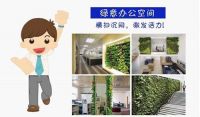 小兵匠引领生态设计、环保装饰新风尚