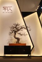 诠释新中式魅力  “平仄”引领中国家具设计创新