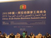 新明珠集团代表出席2015中国—阿拉伯国家工商峰会