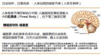 不再惧做“低头族”，想睡就睡好博瑞
