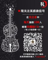 家庭影院音响新科技——英爵隐形音响