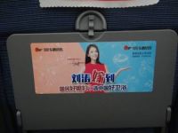 东鹏洁具号高铁再上新,满眼尽是“影视巨星刘涛为东鹏洁具代言”