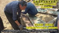 老船木家具图片鉴别真假