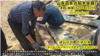 山东百年古船木家具制作过程加工工艺