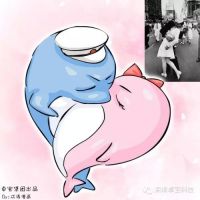 有奖征名 | 快来想想，卓宝的小海豚叫个啥名好嘛！