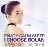 柏兰床垫2014年十大床垫品牌