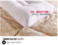雅路家纺高质量纯棉护颈枕芯让您高枕无忧