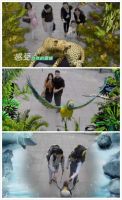 金典：穿越任意门，去遇见真实的自己