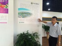 青岛弘盛宜家免费“领养”“植物大熊猫”红豆杉开始了
