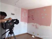 北疆硅藻泥“走进”CCTV2《交换空间》
