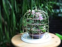 独一无二创意花器