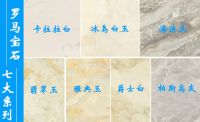 蒙娜丽莎瓷砖罗马宝石瓷质砖通过省级科技成果鉴定