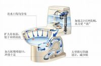 马桶选购知识之种类划分