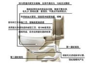 马桶选购知识之种类划分