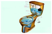 马桶选购知识之种类划分