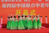 第四届中国原点中老年文化艺术节 金秋盛宴 重阳启幕